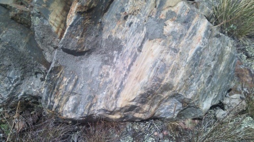 Гигантские зелёные валуны для ландшафтного дизайна весом более 5 тонн купить в Челябинске